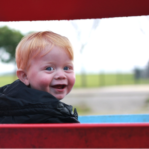 Team Page: Mini Wheats